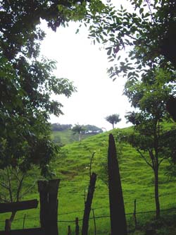Vue de la finca de 6 has de La Esperanza, Costa Rica